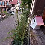 S'gleina Gleck, In The Heart Of A Wine City, 1 Piece Et 1 Salle De Bain Apartment Kaysersberg-Vignoble