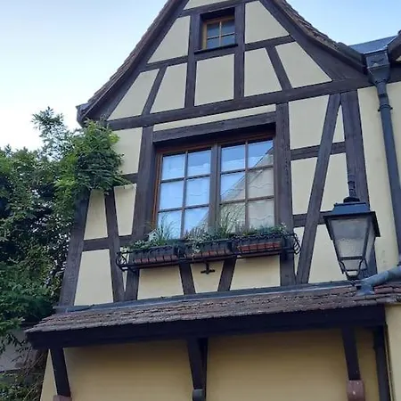 S'gleina Gleck, In The Heart Of A Wine City, 1 Piece Et 1 Salle De Bain Kaysersberg-Vignoble