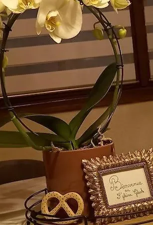 S'gleina Gleck, In The Heart Of A Wine City, 1 Piece Et 1 Salle De Bain Kaysersberg-Vignoble