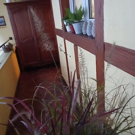 S'gleina Gleck, In The Heart Of A Wine City, 1 Piece Et 1 Salle De Bain