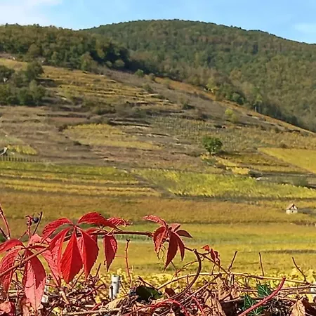 Apartman S'gleina Gleck, In The Heart Of A Wine City, 1 Piece Et 1 Salle De Bain *