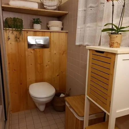 S'gleina Gleck, In The Heart Of A Wine City, 1 Piece Et 1 Salle De Bain * Kaysersberg-Vignoble