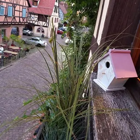 S'gleina Gleck, In The Heart Of A Wine City, 1 Piece Et 1 Salle De Bain Apartment Kaysersberg-Vignoble