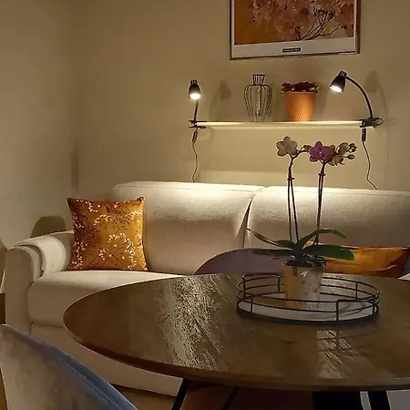 S'gleina Gleck, In The Heart Of A Wine City, 1 Piece Et 1 Salle De Bain * Kaysersberg-Vignoble