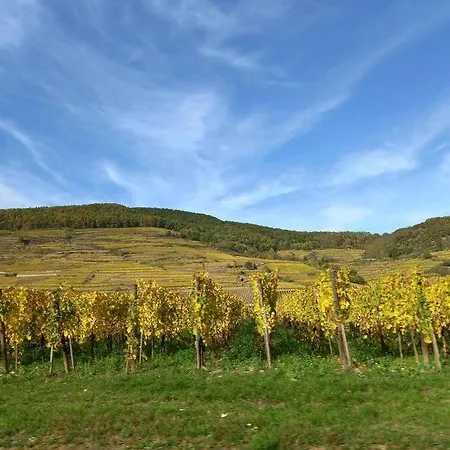 S'gleina Gleck, In The Heart Of A Wine City, 1 Piece Et 1 Salle De Bain *