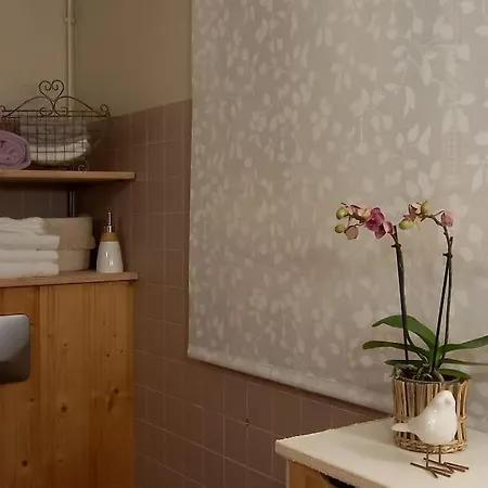 S'gleina Gleck, In The Heart Of A Wine City, 1 Piece Et 1 Salle De Bain Kaysersberg-Vignoble