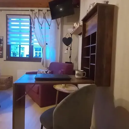 S'gleina Gleck, In The Heart Of A Wine City, 1 Piece Et 1 Salle De Bain * Kaysersberg-Vignoble