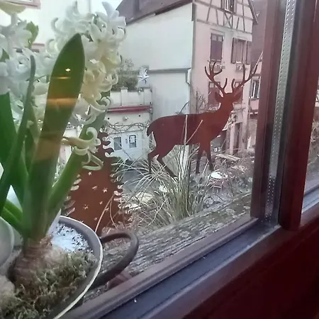 S'gleina Gleck, In The Heart Of A Wine City, 1 Piece Et 1 Salle De Bain * Kaysersberg-Vignoble