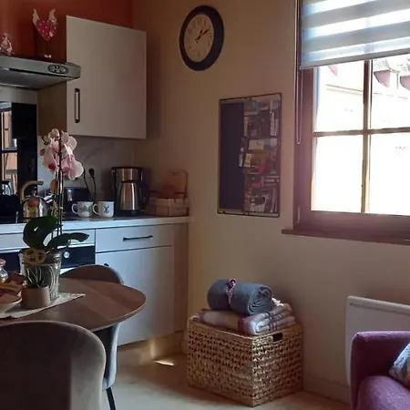 S'gleina Gleck, In The Heart Of A Wine City, 1 Piece Et 1 Salle De Bain