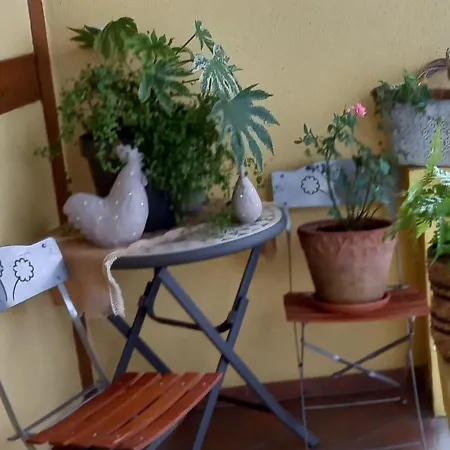 S'gleina Gleck, In The Heart Of A Wine City, 1 Piece Et 1 Salle De Bain Kaysersberg-Vignoble