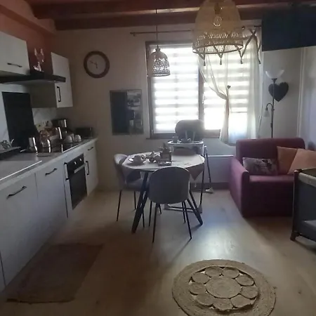 Apartment S'gleina Gleck, In The Heart Of A Wine City, 1 Piece Et 1 Salle De Bain Kaysersberg-Vignoble